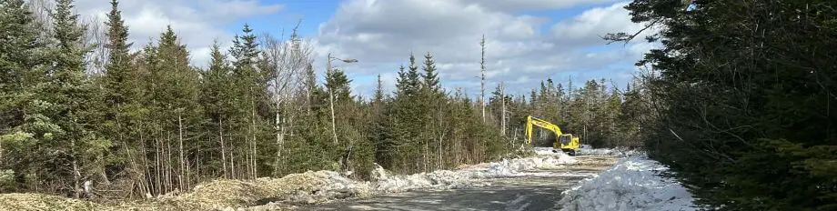 Whale Sanctuary Project laying infrastructure