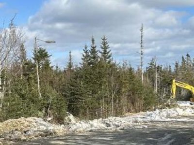 Whale Sanctuary Project laying infrastructure